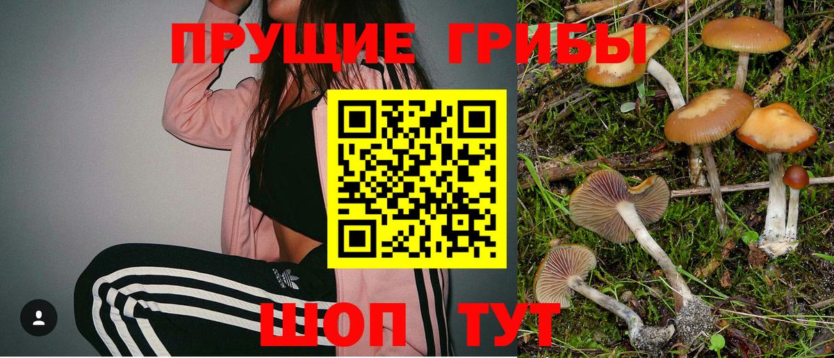 Ковров  Галлюциногенные грибы Magic Shrooms  Галлюциногенные грибы Psilocybine cubensis  Вход с VPN 