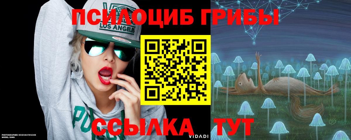 Псилоцибиновые грибы Magic Shrooms Ковров